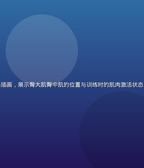 运动解剖示意图风格插画，展示臀大肌臀中肌的位置与训练时的肌肉激活状态，专业医学蓝白配色